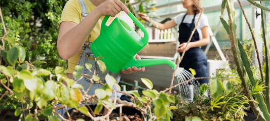 Bingung Pilih Pot Siram Claris Garden? Simak Perbedaan Springtime, Gardenia, dan Primavera Ini!