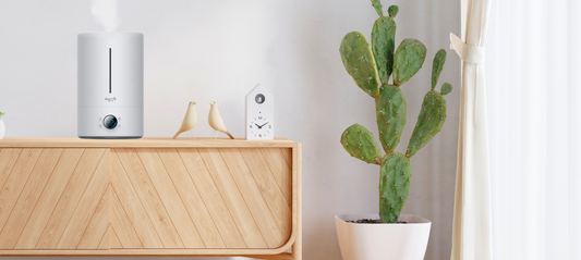 Udara Kering Bikin Tidak Nyaman? Inilah Keunggulan Deerma DEM F628S Humidifier yang Harus Anda Punya!