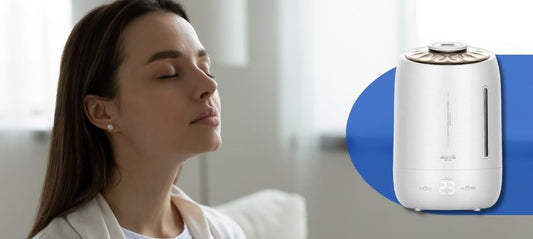 Udara Lebih Sehat dan Segar di Rumah dengan Deerma F600 Humidifier