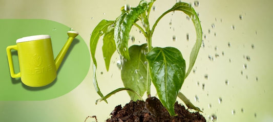 Claris Garden 5952 Primavera Pot Siram 3L – Solusi Praktis & Estetik untuk Menyiram Tanaman Anda!