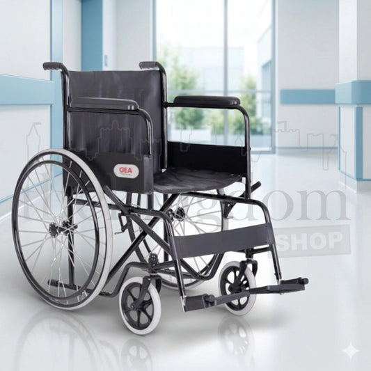 GEA FS 875 Wheelchair Economy Steel Black