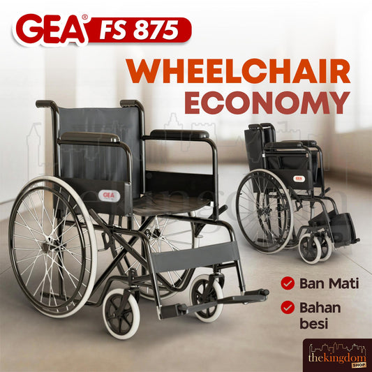 GEA FS 875 Wheelchair Economy Steel Black