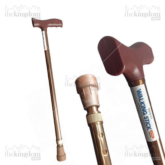 Onehealth DY920L Walking Stick